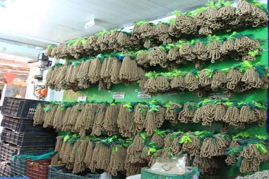 خرید سالانه 800 میلیارد تومان سوغاتی چینی!